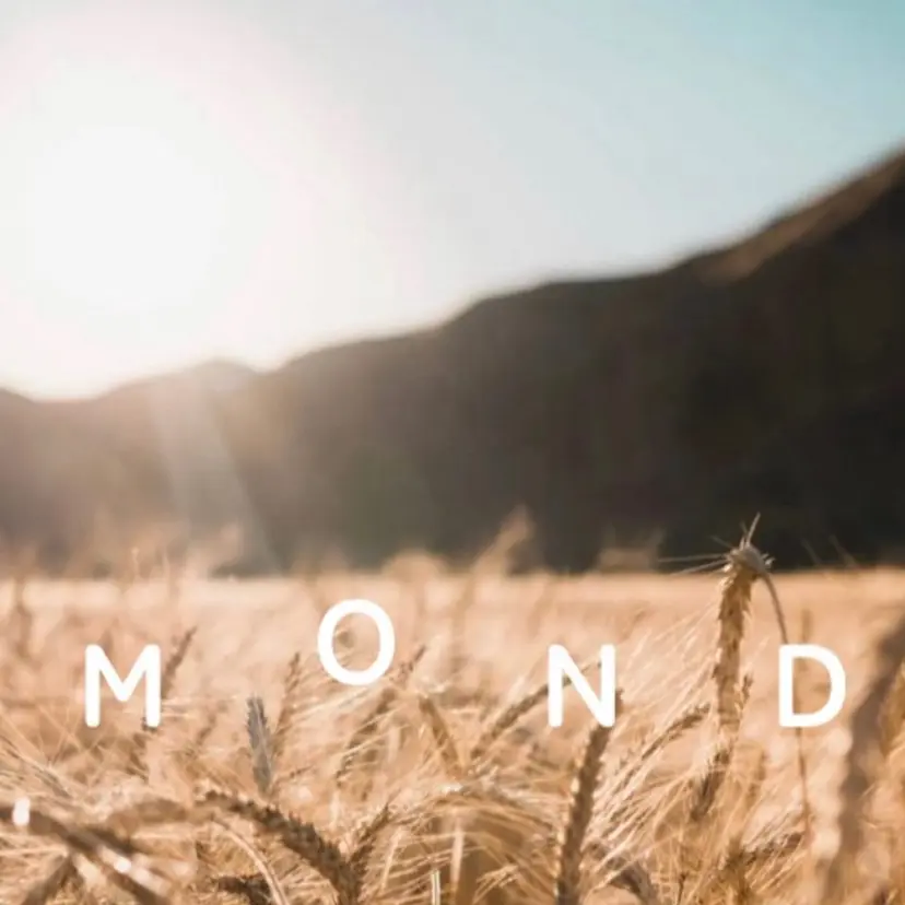 MOND/ Takaneの掲載