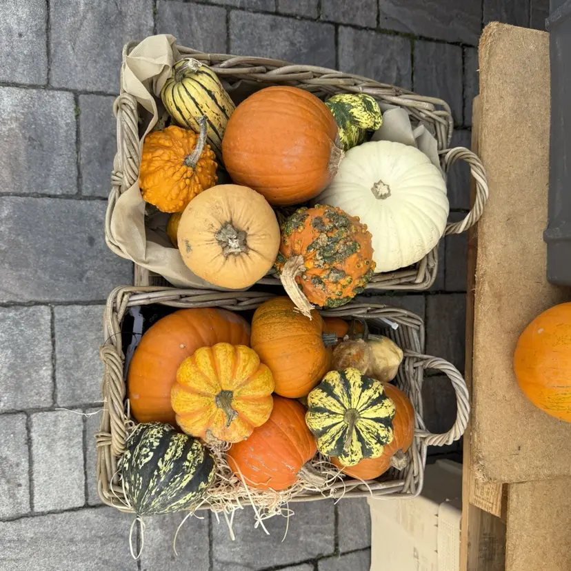 ミキ🐈‍⬛ bobカット🚿の掲載