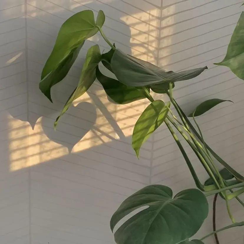 浜野 真貴の掲載