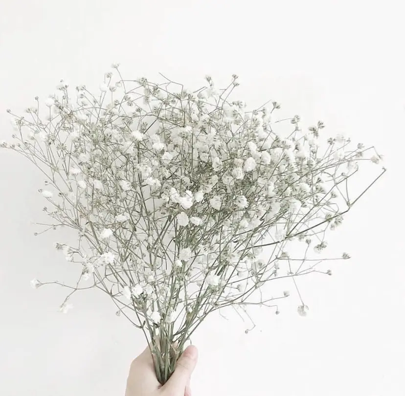 ニシタニ コハルの掲載