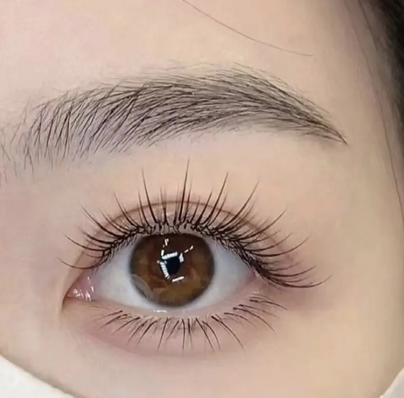 Queen Salonの掲載