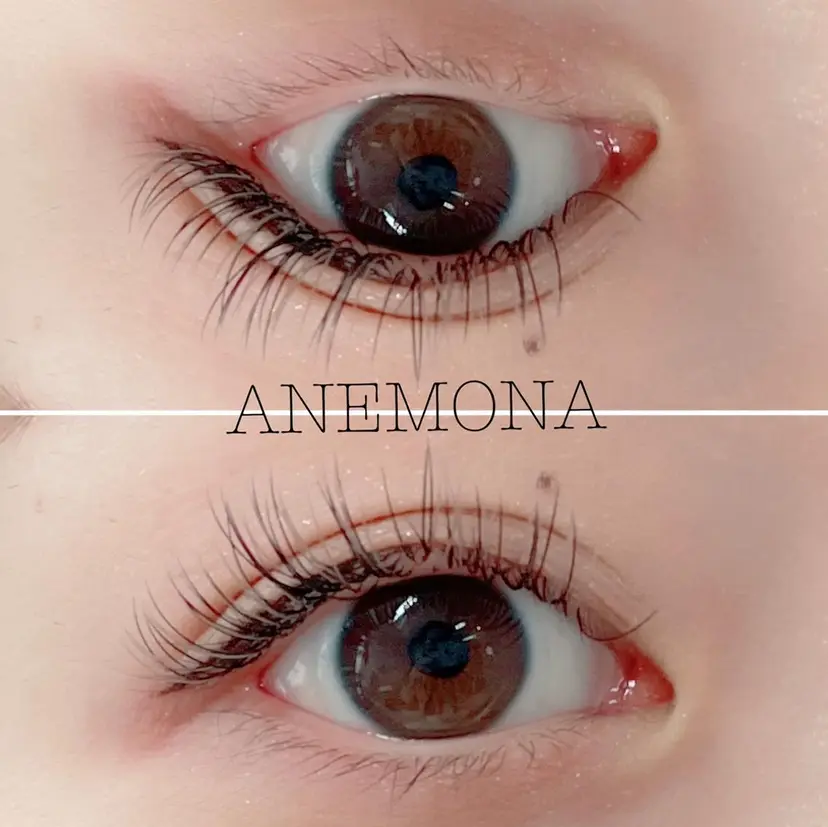 nail &lash ANEMONAの掲載