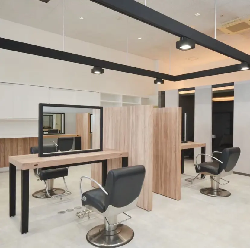 newstyle SO-HOの掲載