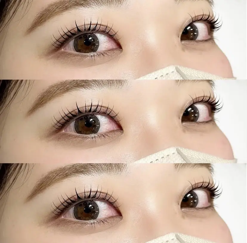 山本 風華の掲載