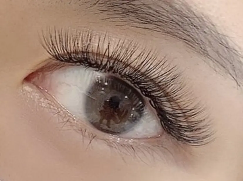 Amor Funa🐿️の掲載