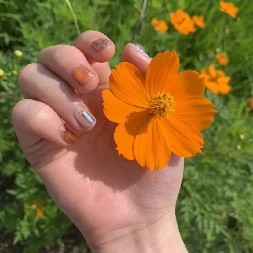 ニイナ🌼 まつパ/束感まつげの掲載