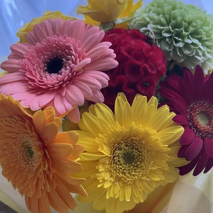 アイブロウ💐 表参道の掲載