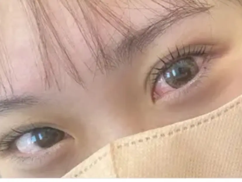 木村 姫星の掲載