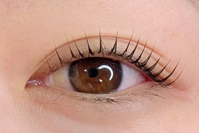 アイラッシュサロン lunalyの掲載