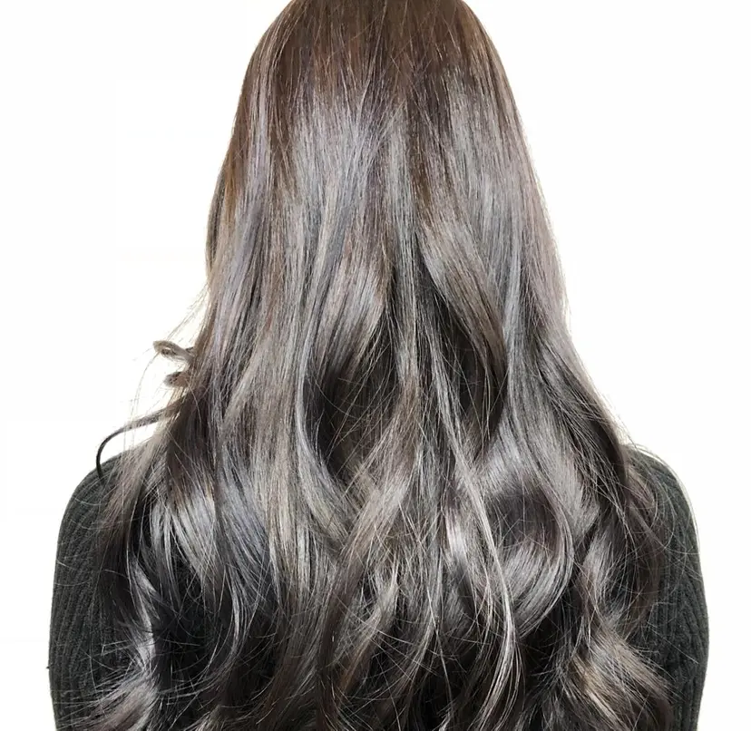 平井 秀乙の掲載