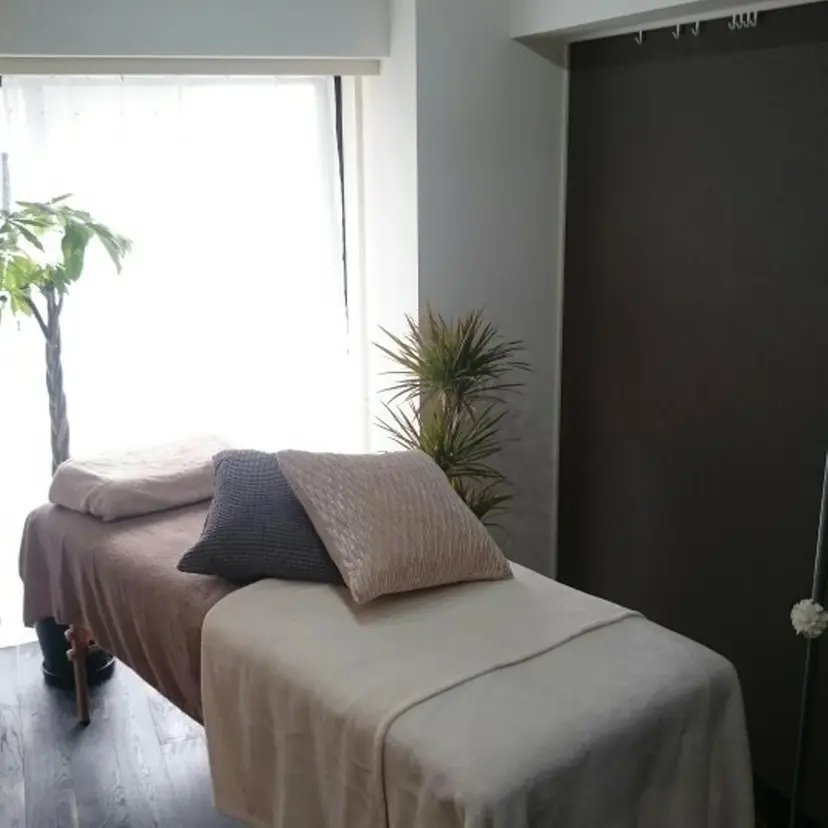 山本 まゆみの掲載