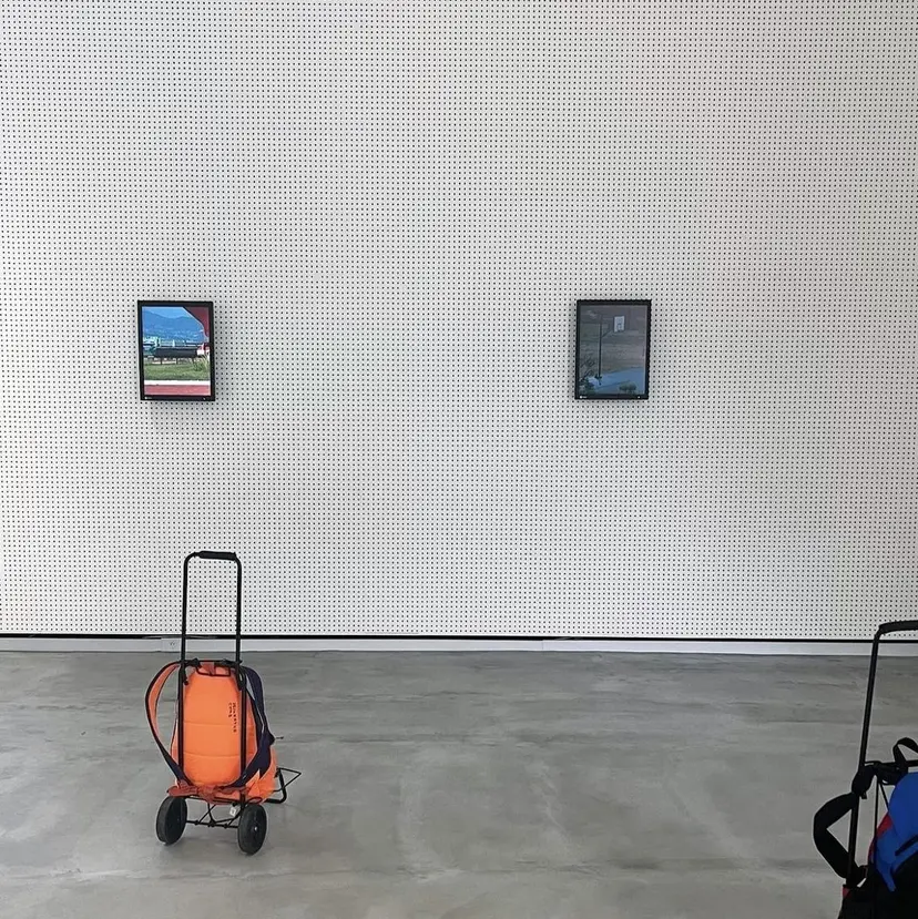 村松 さくらの掲載