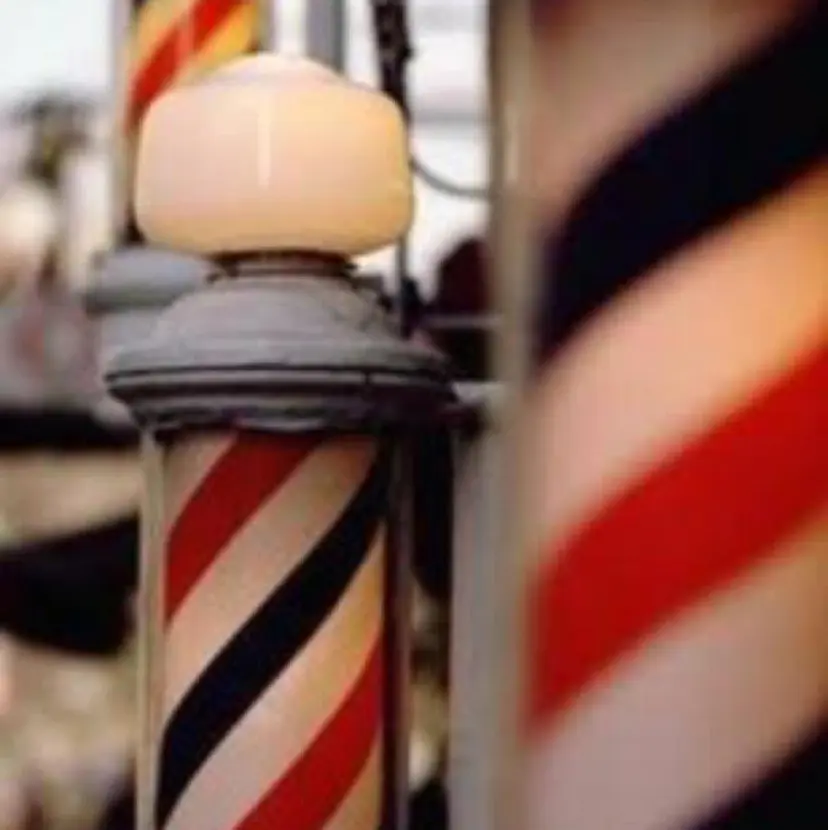 山中 かおりの掲載