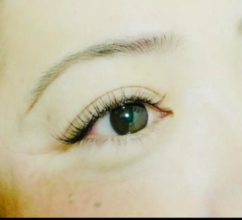 金井 麻世の掲載