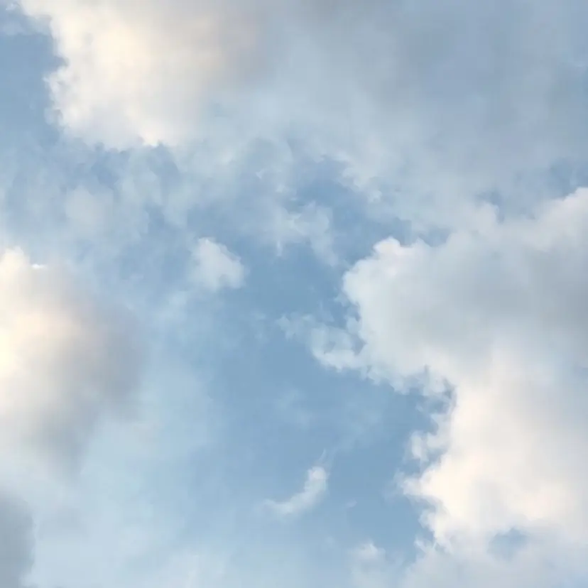 MAXKELLY 中里杏の掲載