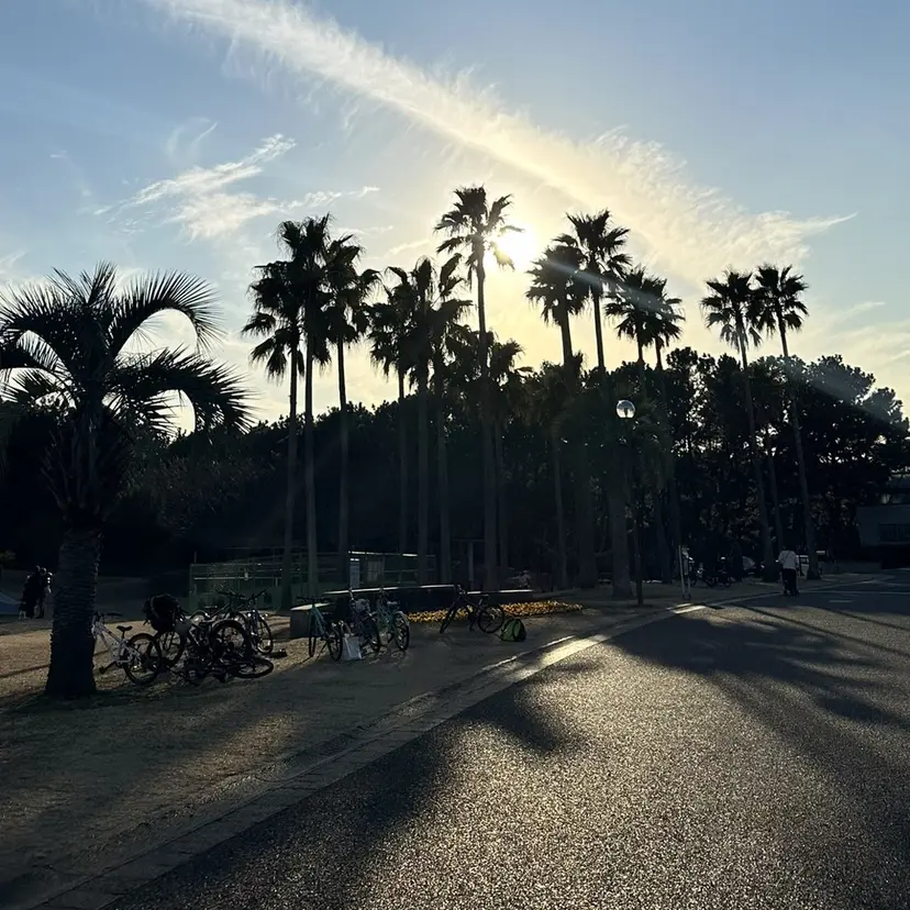 似合わせレイヤー 海外風レイヤーmioの掲載