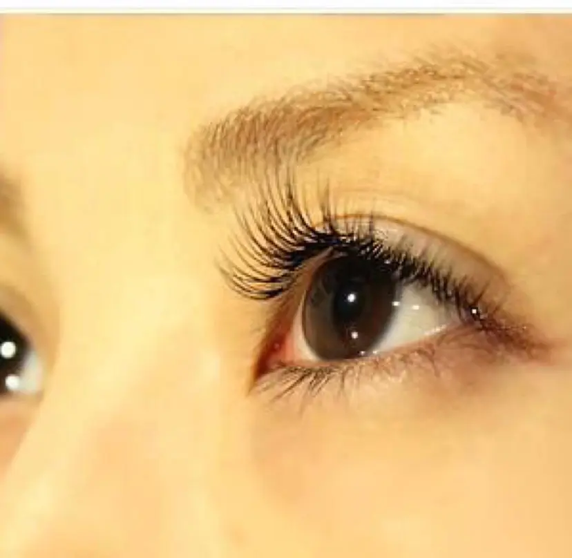 Plants 斧田 ひろみの掲載