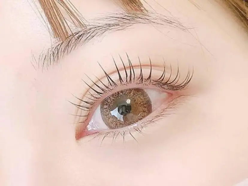 【Lanhr】 🕊aya🕊の掲載