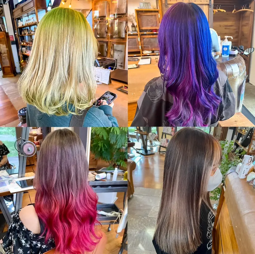 佐藤 美聡の掲載