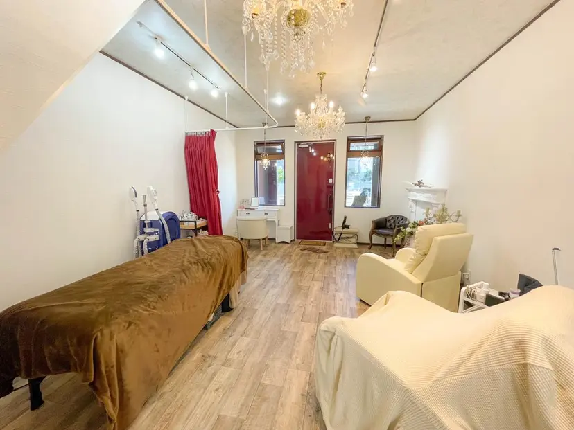 tissue ティッシュの掲載