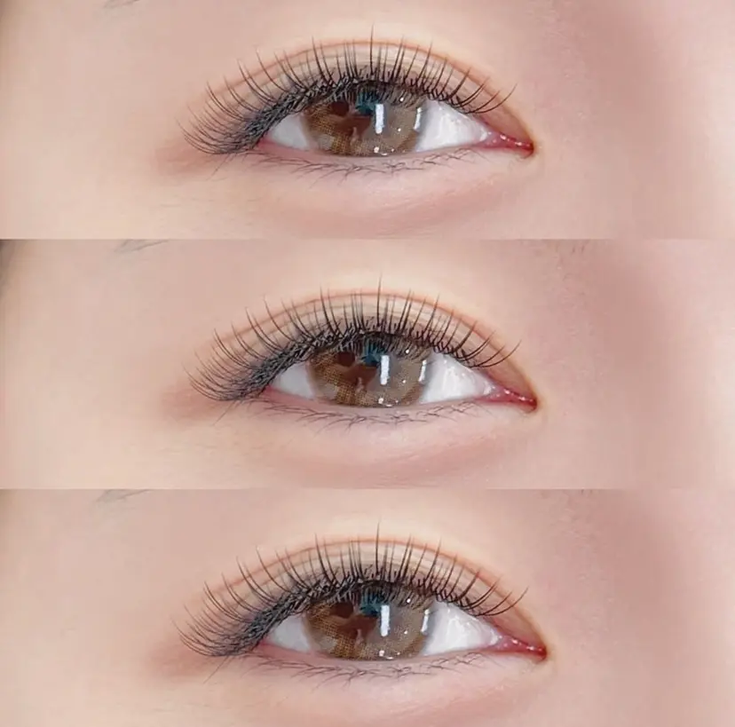 Z·Sunny Eyelashの掲載