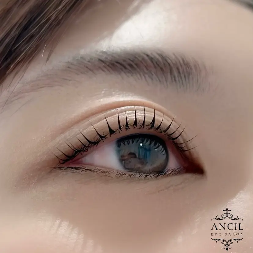 ANCIL店 みいだ·͜·✌︎の掲載