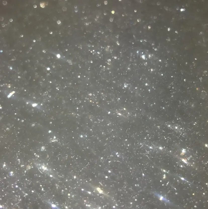 伊藤 穂美の掲載