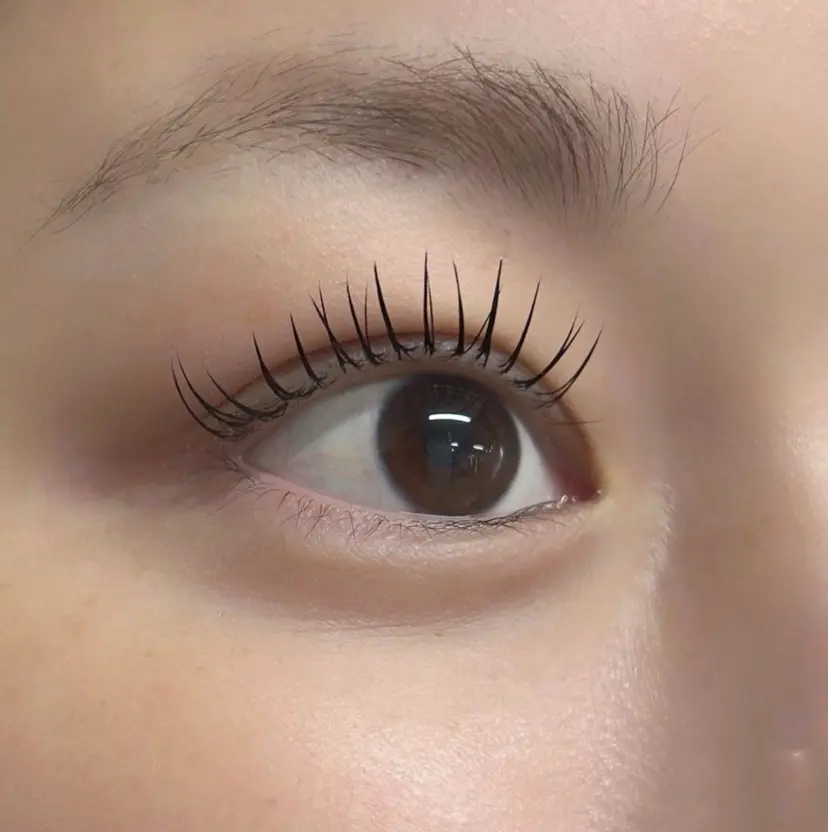 村田 真緒の掲載