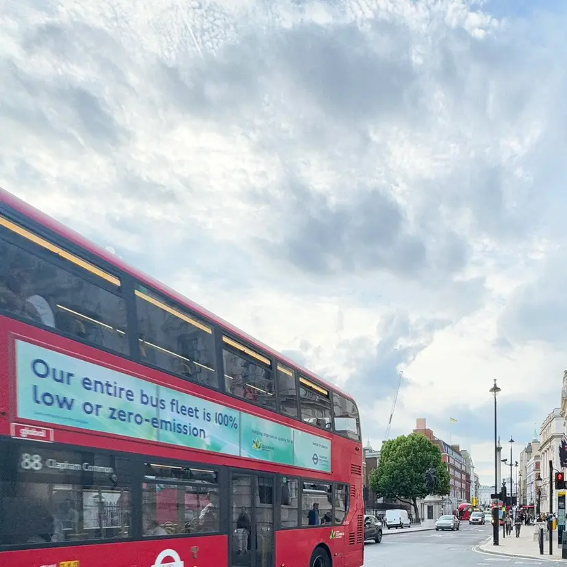 WHITEEYE WAKANAの掲載