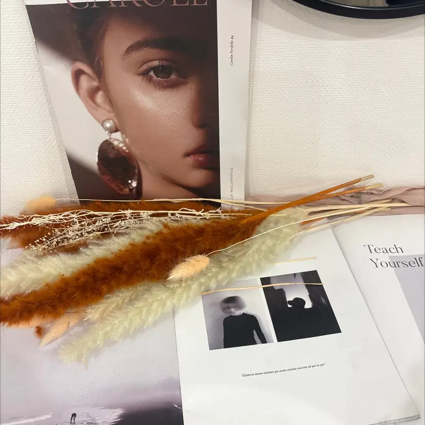 谷村 美波の掲載