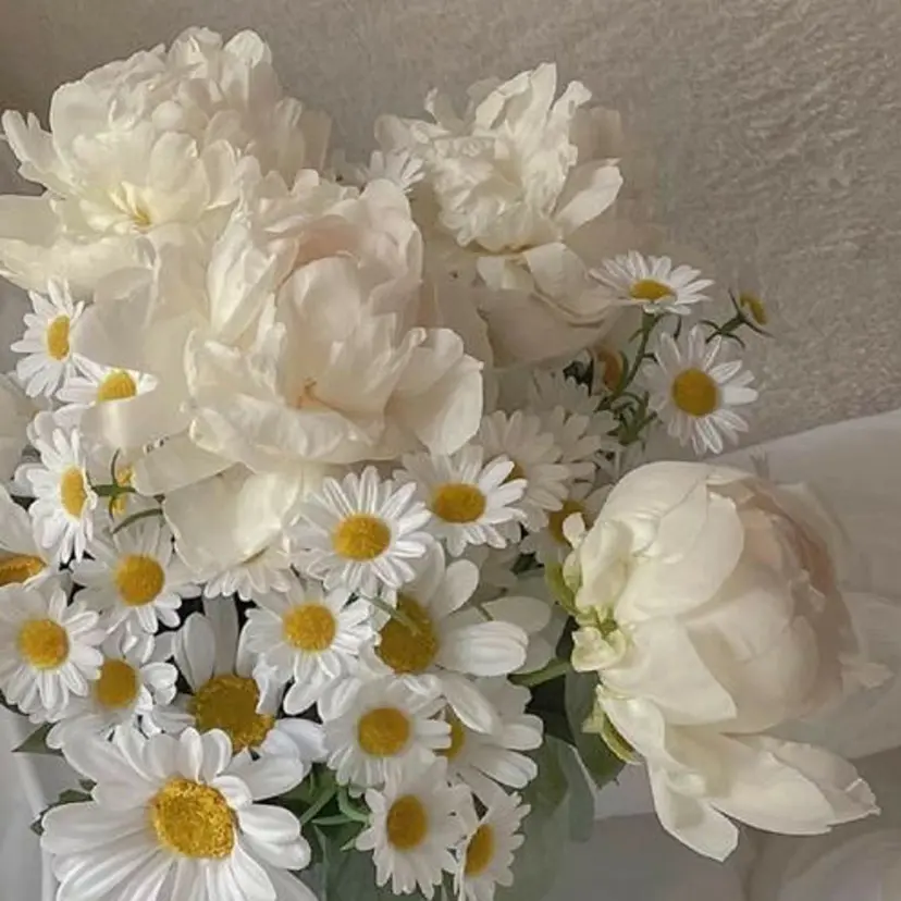 eight横浜🧸 kumabeの掲載