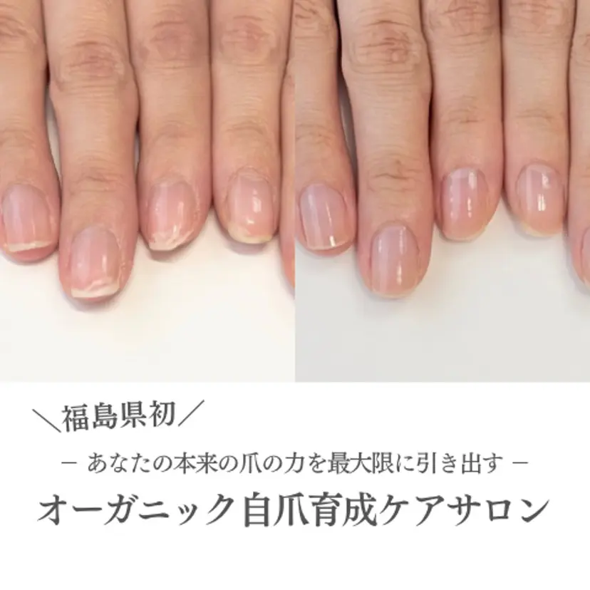 三浦 千明の掲載