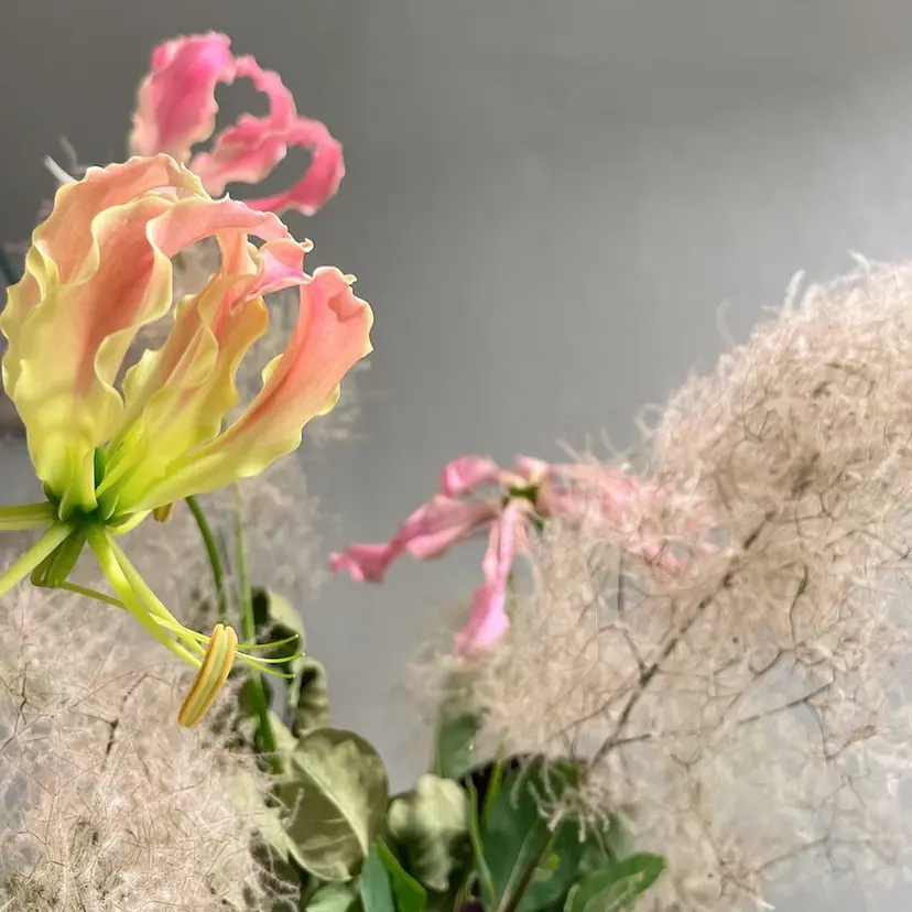 ♡ 柔らかヘア 貝塚優花 ♡の掲載