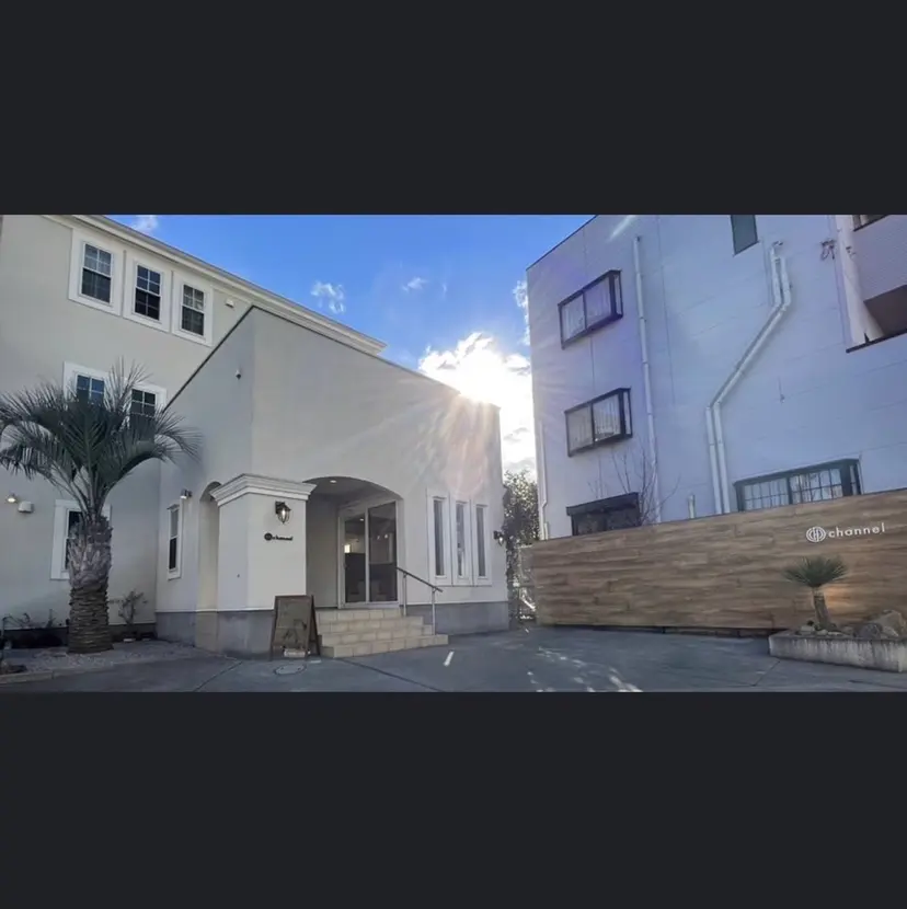 石井 真帆の掲載