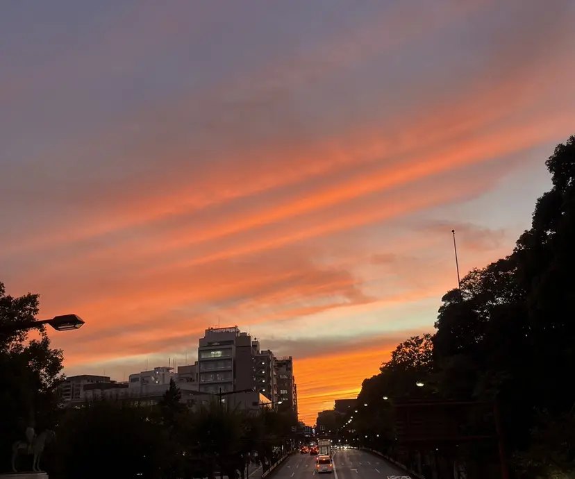 ⚡️メンズ高支持⚡️ 知念夢華の掲載