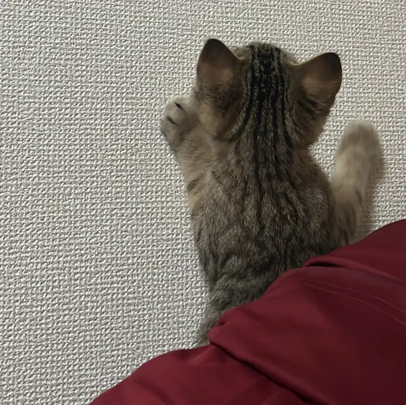 深夜ネイルサロン eub.m_nailの掲載