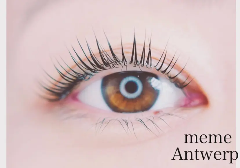 meme Antwerpの掲載