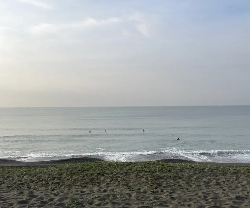 池嶋 七海の掲載