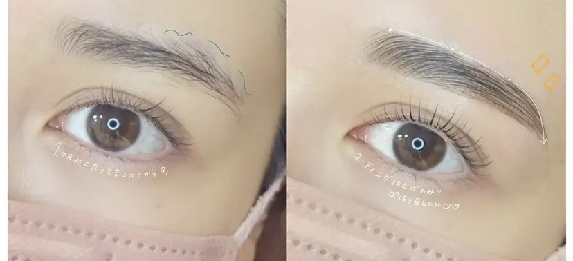 大友 麻加の掲載