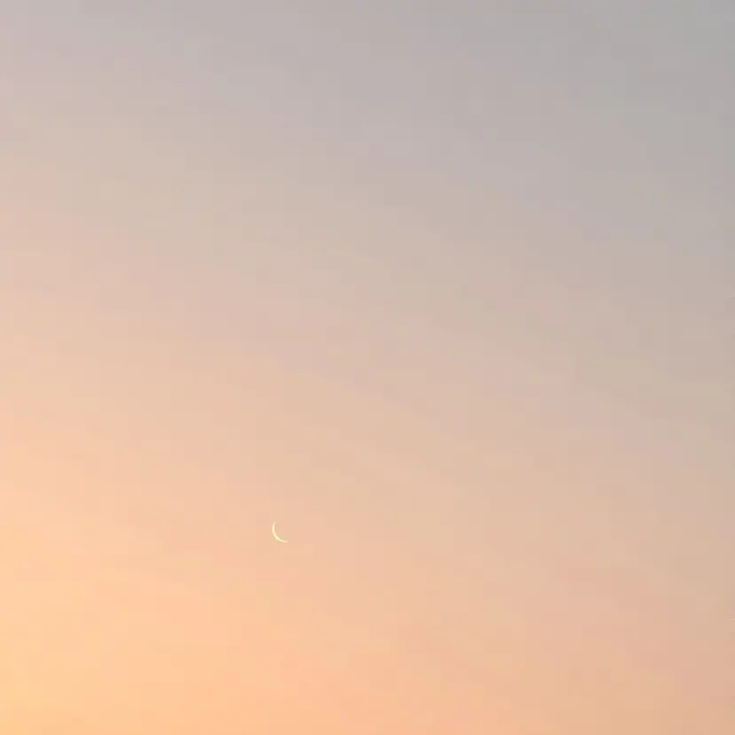 Sora ☁️の掲載