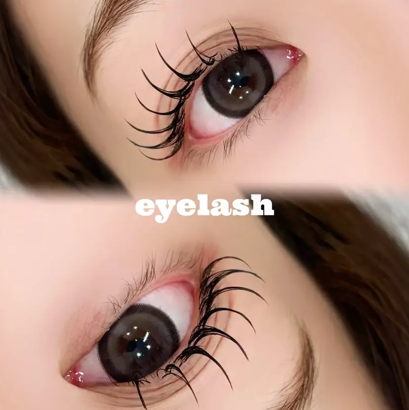 山田 日彩の掲載