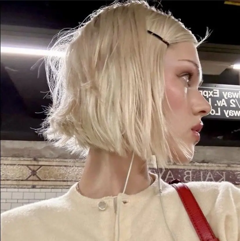 seri yoshidaの掲載