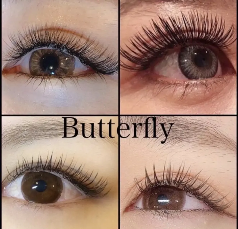 Butterfly 出井の掲載