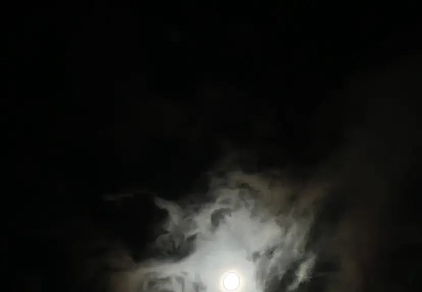 艶髪製造 秋(shuの掲載