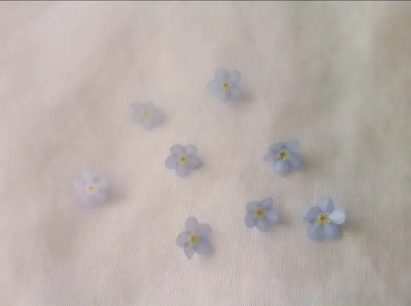 meru kamisakodaの掲載