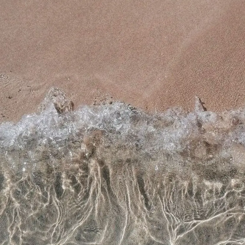 sunny ニュアンス/手描き/の掲載