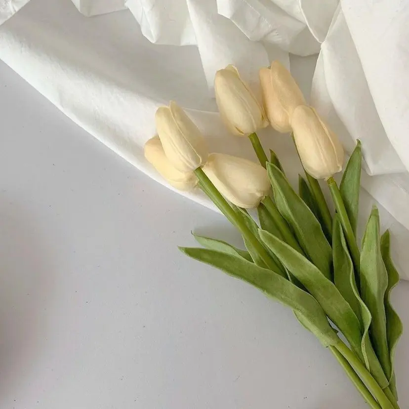 Misora 🌼の掲載