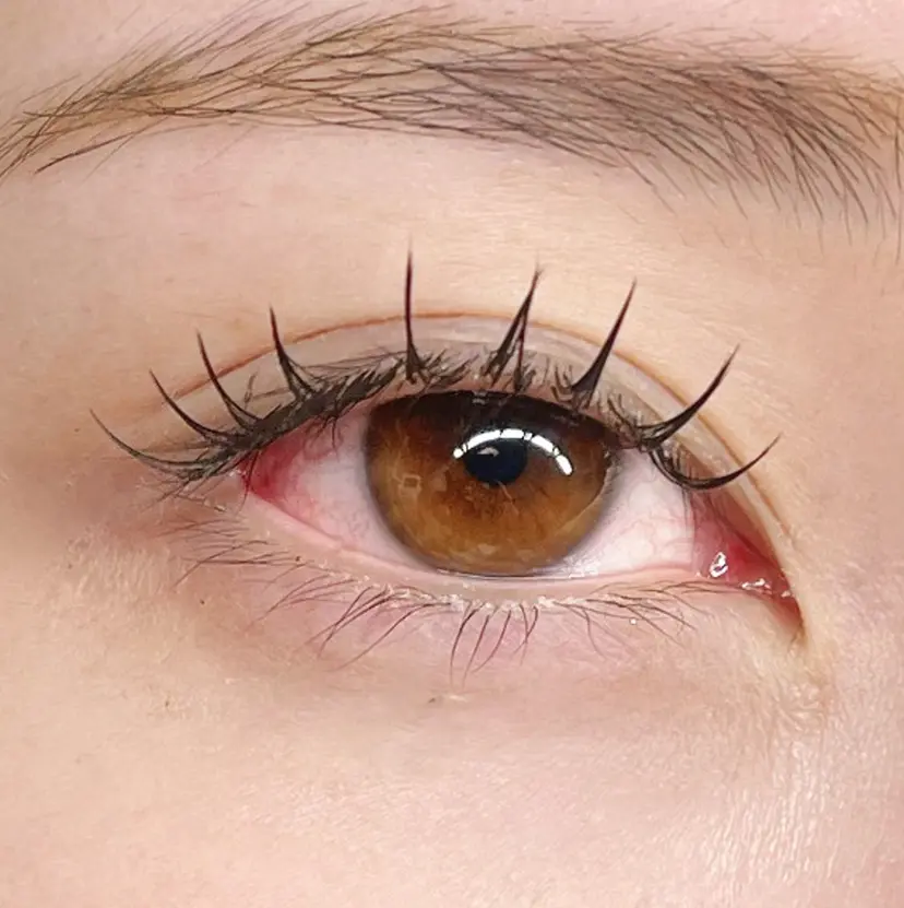 篠塚 めいの掲載