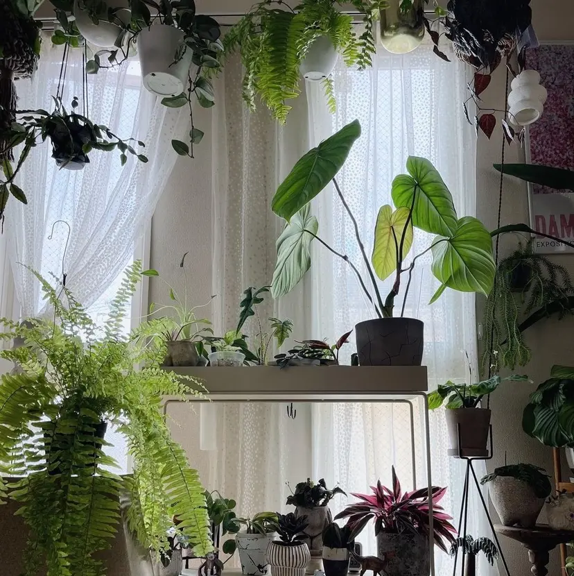 表参道eyelist KONOMIの掲載