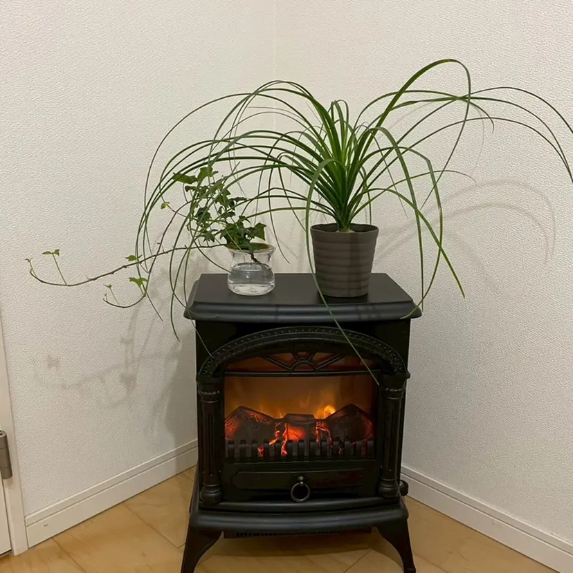 Suzuki Yumiの掲載